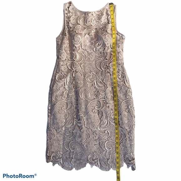 Adrianna Papell Lace Sheath Dress Size 8P - Picture 6 of 11